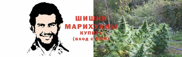 каннабис Беломорск