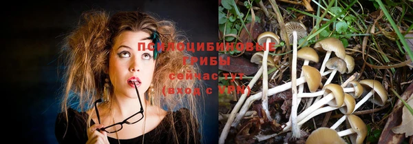 бошки Снежинск